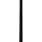 P3BW